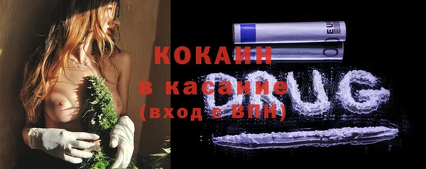 молекула духа Магадан
