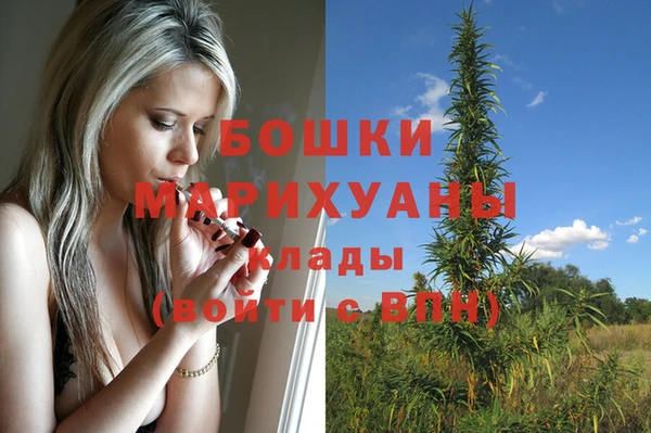 молекула духа Магадан