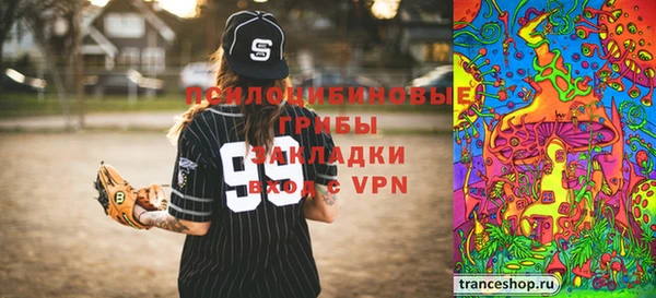 индика Майский