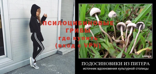 мдпв Липки