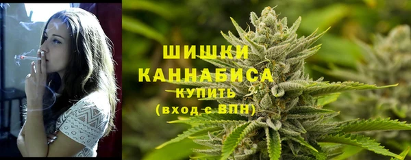 молекула духа Магадан