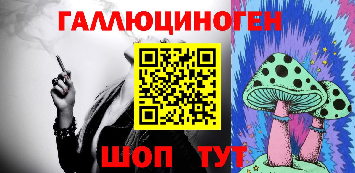 Галлюциногенные грибы Psilocybe  Галлюциногенные грибы мицелий  Великий Новгород 