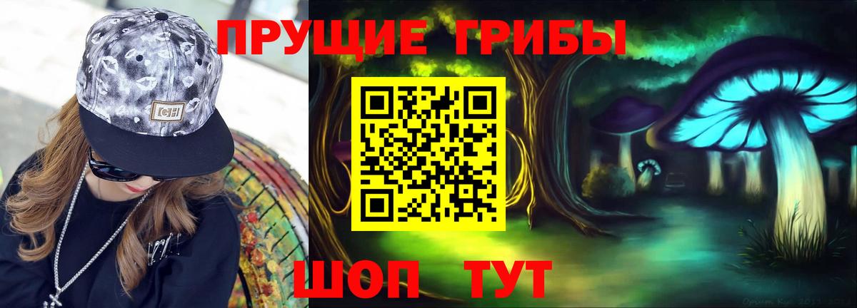 Галлюциногенные грибы прущие грибы Великий Новгород