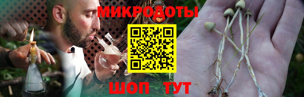 Галлюциногенные грибы Cubensis Великий Новгород
