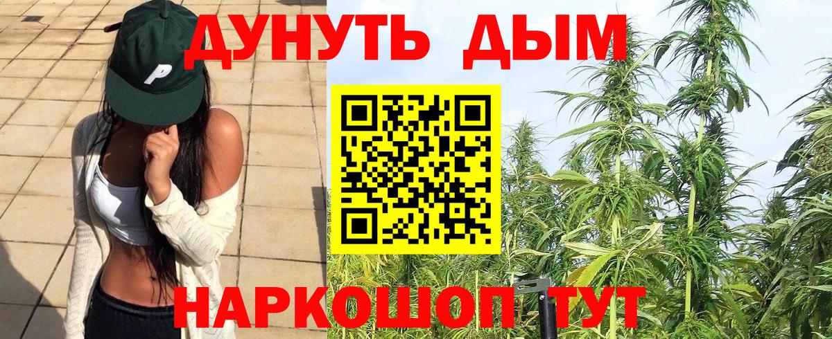 Конопля индика Великий Новгород